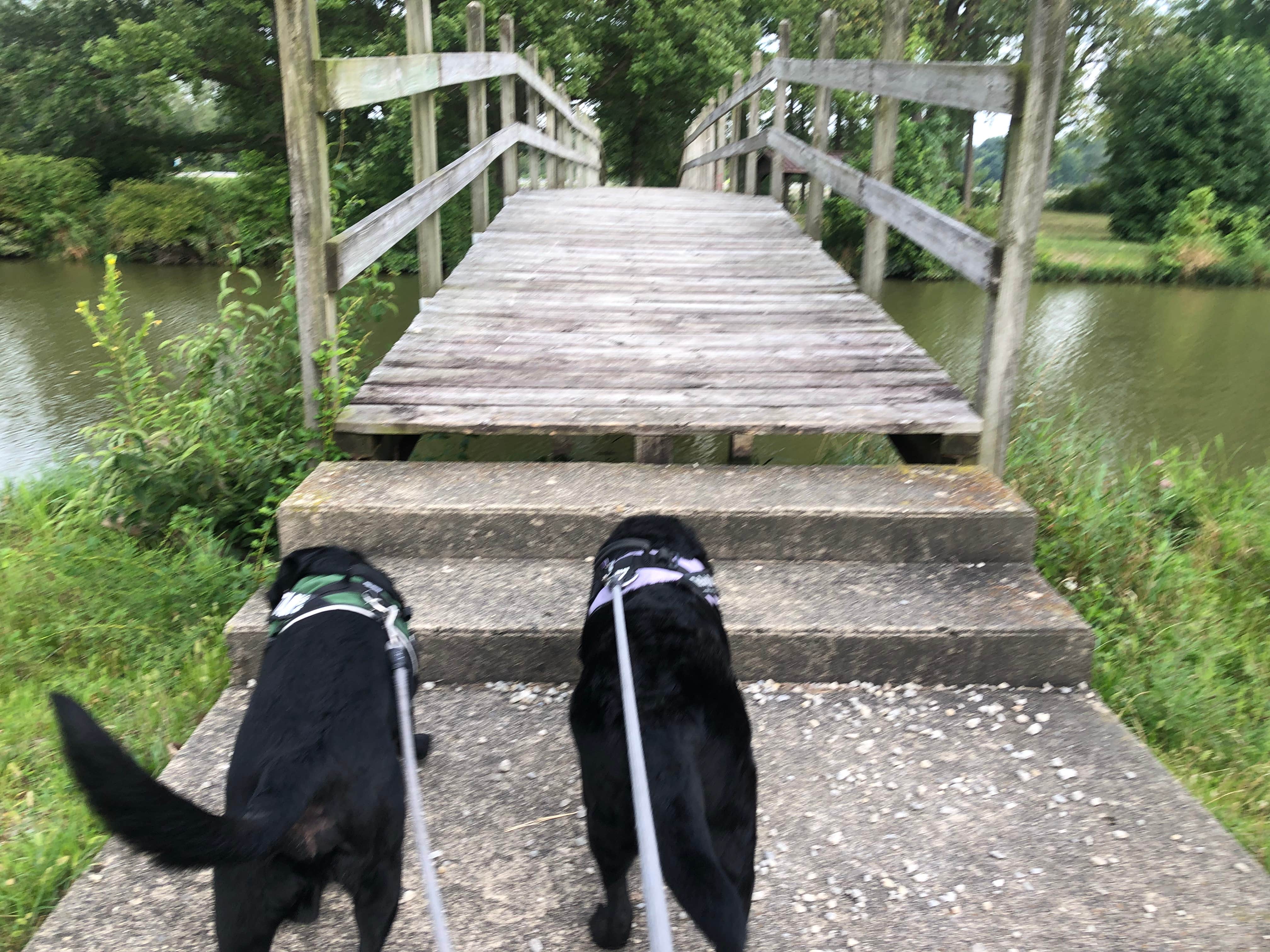 Camper submitted image from Lake Loramie State Park Campground - 4