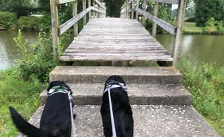 Andrea F.'s photo of camping with pets at Lake Loramie State Park Campground near Lima, OH