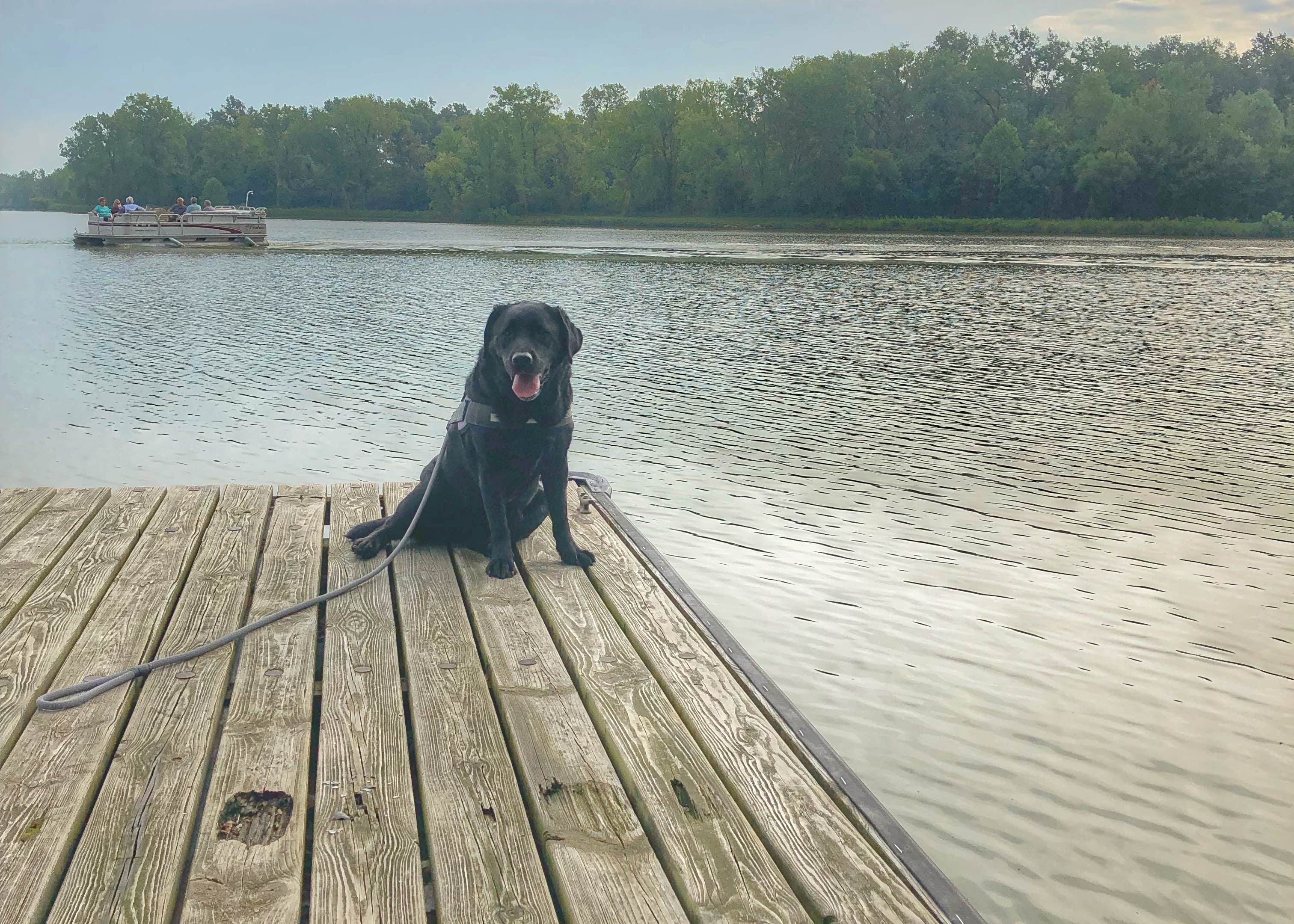 Lake Loramie State Park Camping The Dyrt