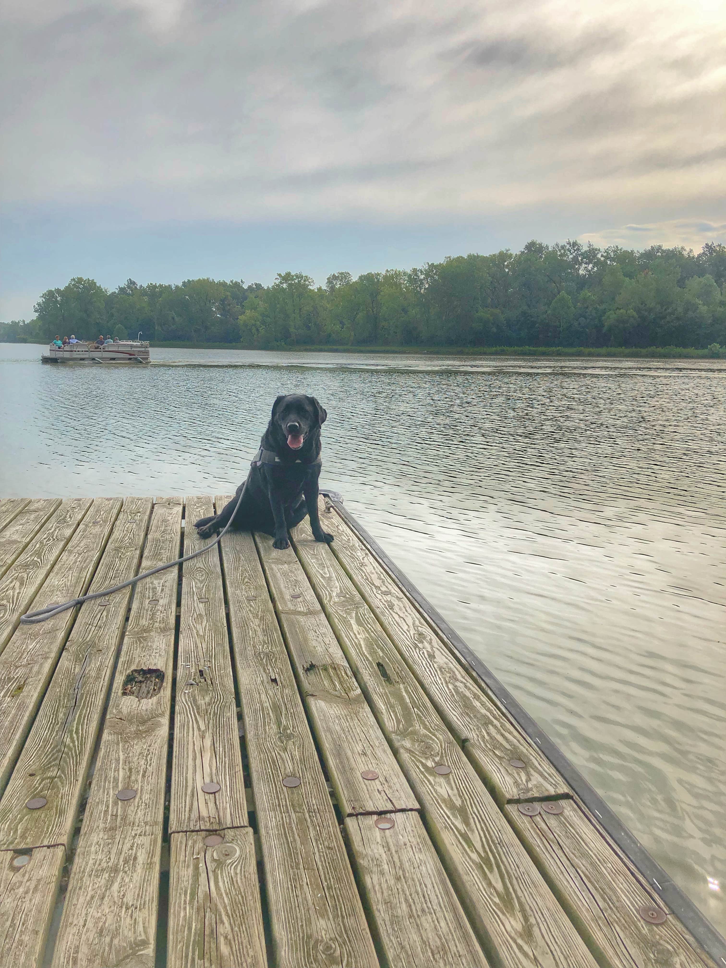 Camper submitted image from Lake Loramie State Park Campground - 1