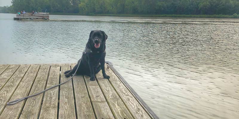 Camper submitted image from Lake Loramie State Park Campground