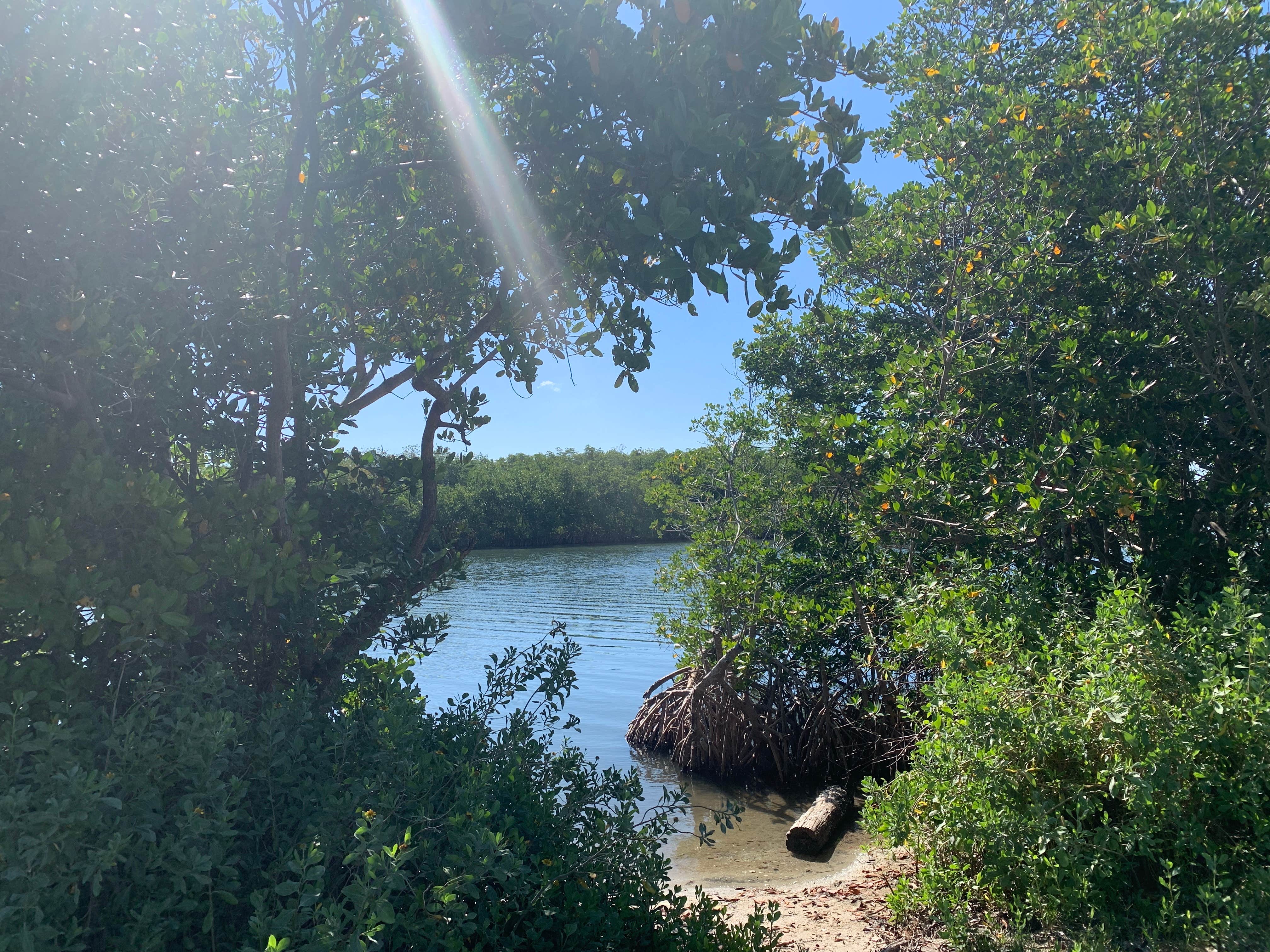 Camper-submitted photo at Long Point Park Campground near Merritt Island, FL