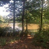 Review photo of Martin Dies, Jr. State Park Campground by John H., July 31, 2020