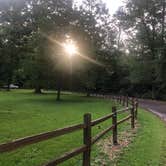 Review photo of Martin Dies, Jr. State Park Campground by John H., July 31, 2020