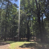 Review photo of Martin Dies, Jr. State Park Campground by John H., July 31, 2020