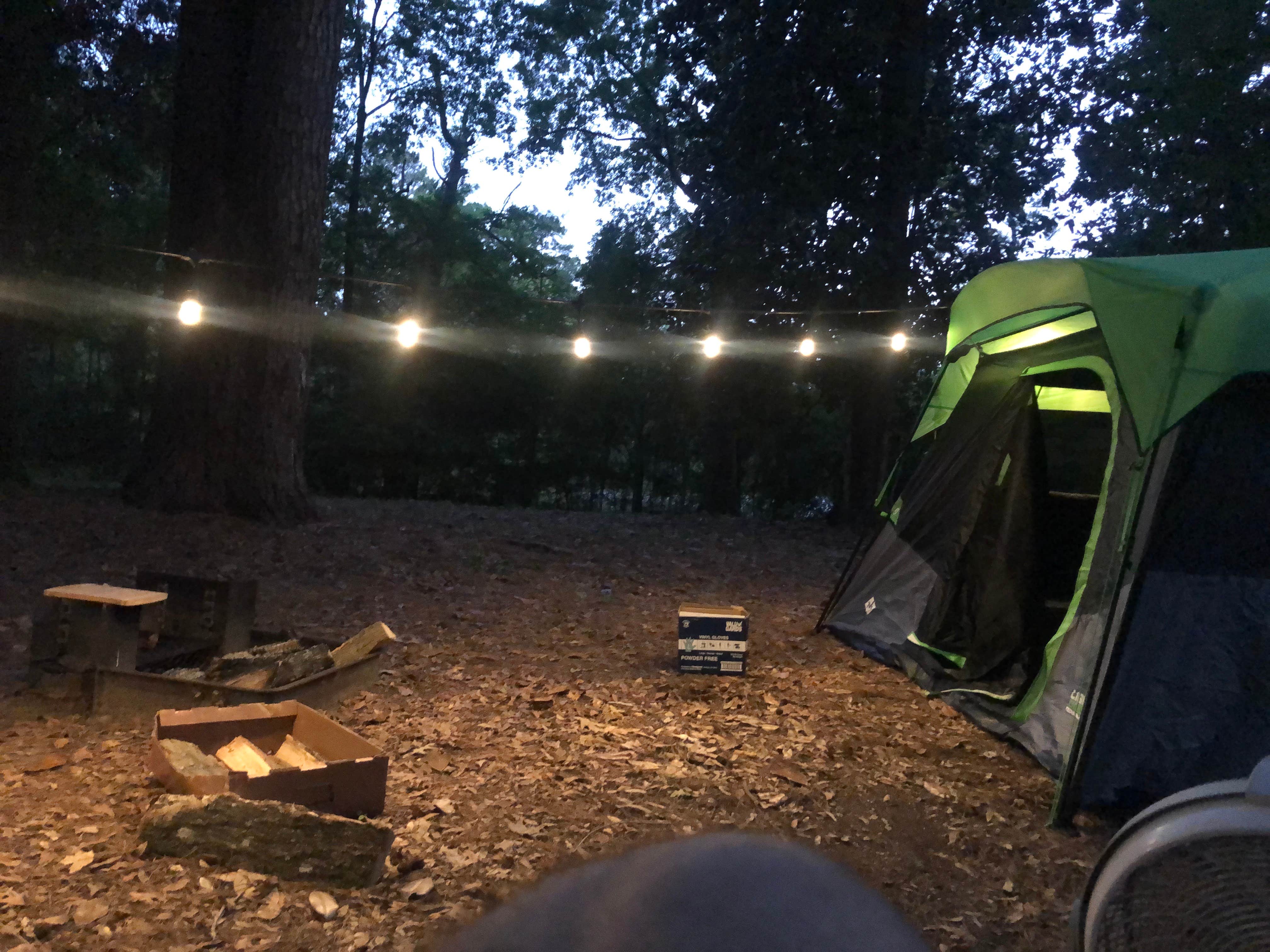 John H.'s photo at Martin Dies, Jr. State Park Campground near Village Mills, TX