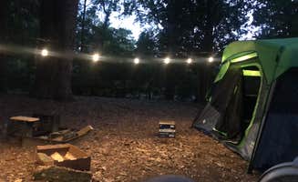 John H.'s photo at Martin Dies, Jr. State Park Campground near Steinhagen Lake