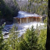 Review photo of Lower Falls - Tahquamenon Falls State Park by Melissa M., July 21, 2020