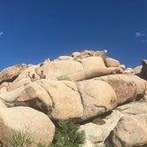 Review photo of Indian Cove Campground — Joshua Tree National Park by Bryce W., July 31, 2020