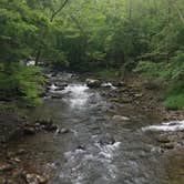 Review photo of Elkmont Campground — Great Smoky Mountains National Park by Liz A., July 31, 2020