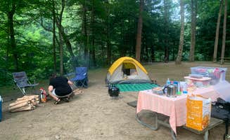 Rebecca L.'s photo at Stony Brook State Park Campground near Naples, NY