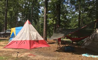 Jolie D.'s photo of tent camping at Wind Creek State Park Campground near Eclectic, AL