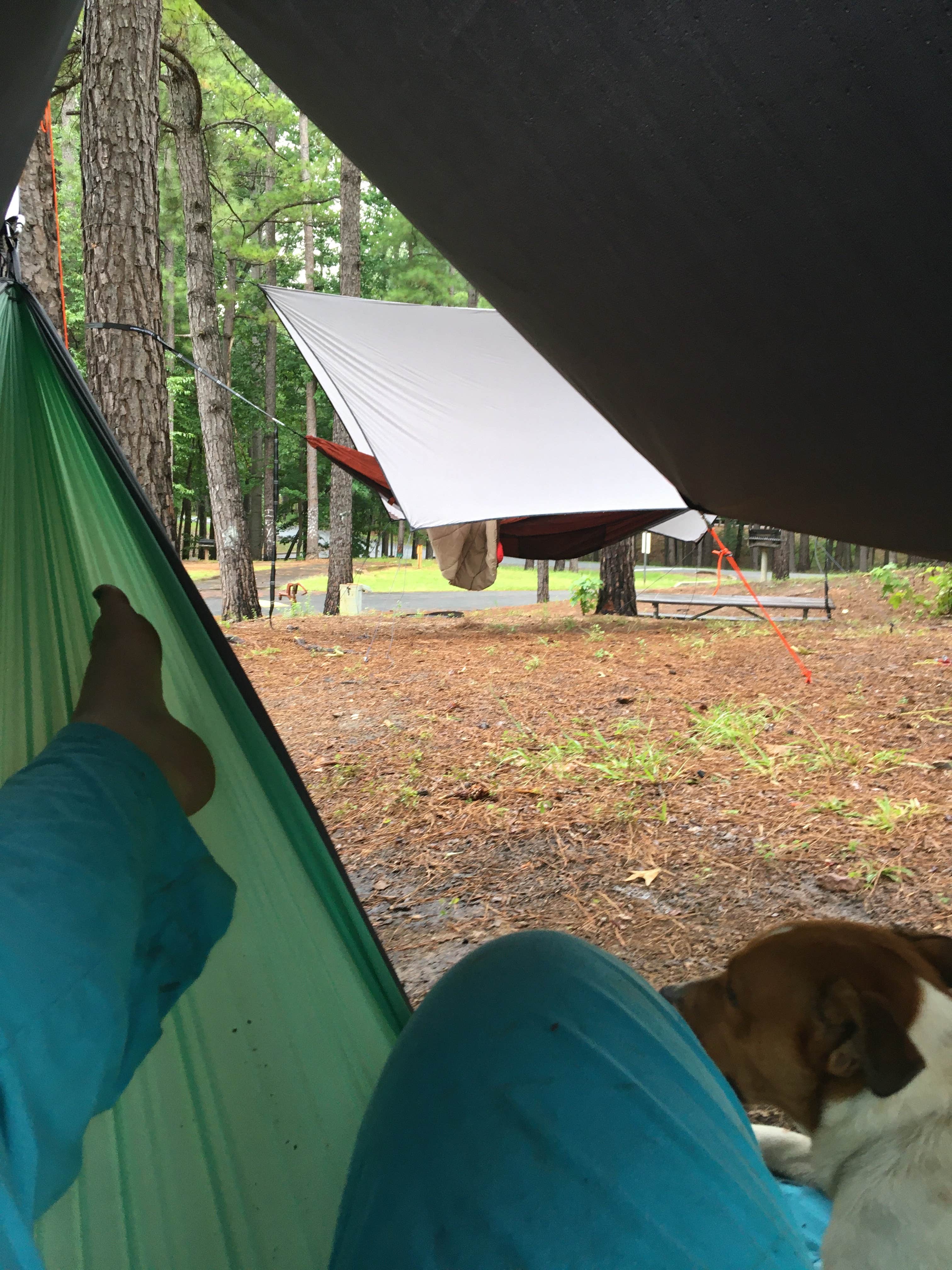 Jolie D.'s photo of tent camping at Wind Creek State Park Campground near Tallassee, AL