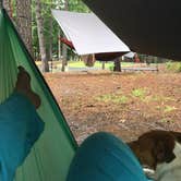 Review photo of Wind Creek State Park Campground by Jolie D., July 31, 2020