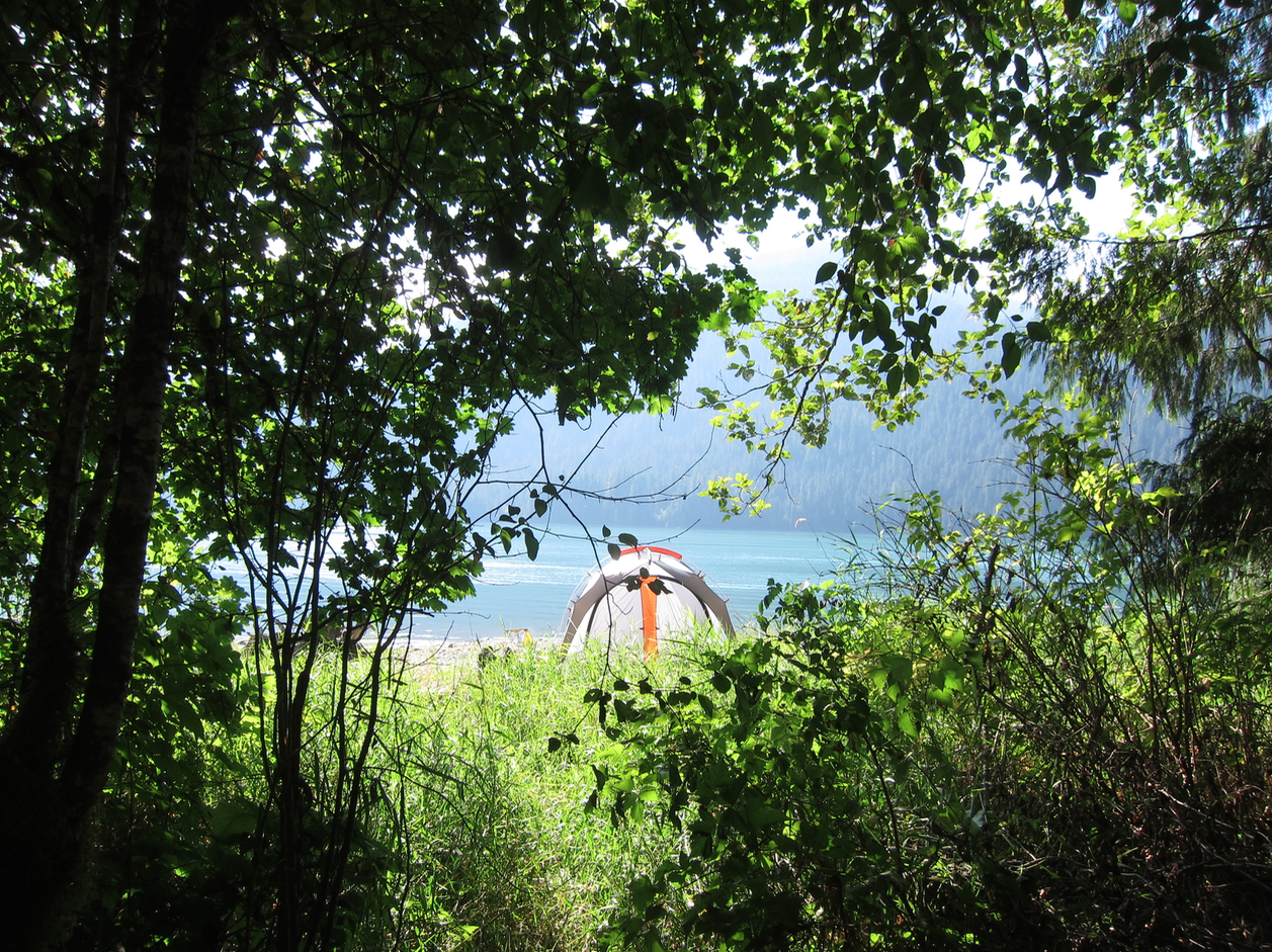 Camper submitted image from Horseshoe Cove Campground - 3