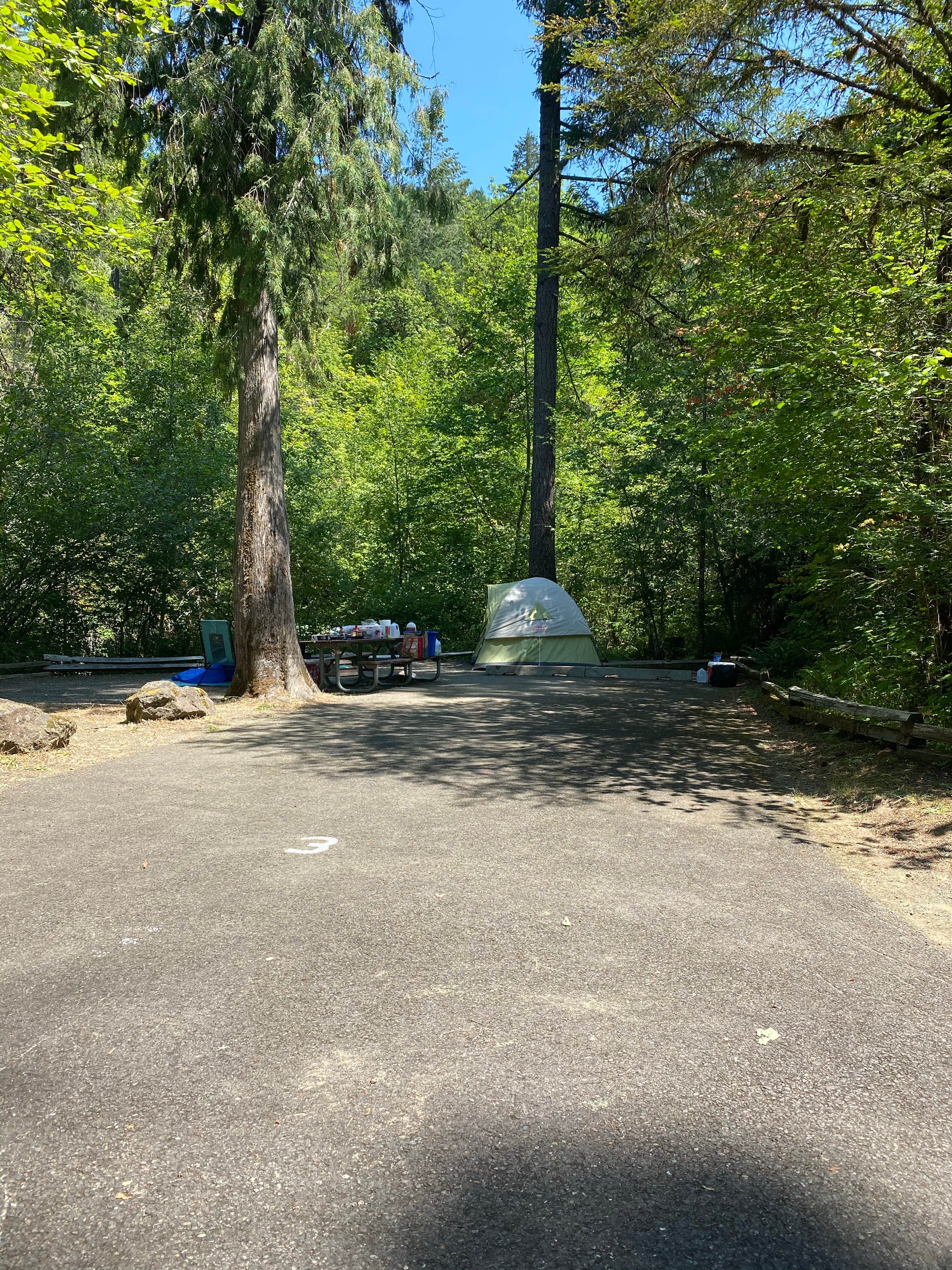 Blaine B.'s photo at Cavitt Creek Falls near Sutherlin, OR