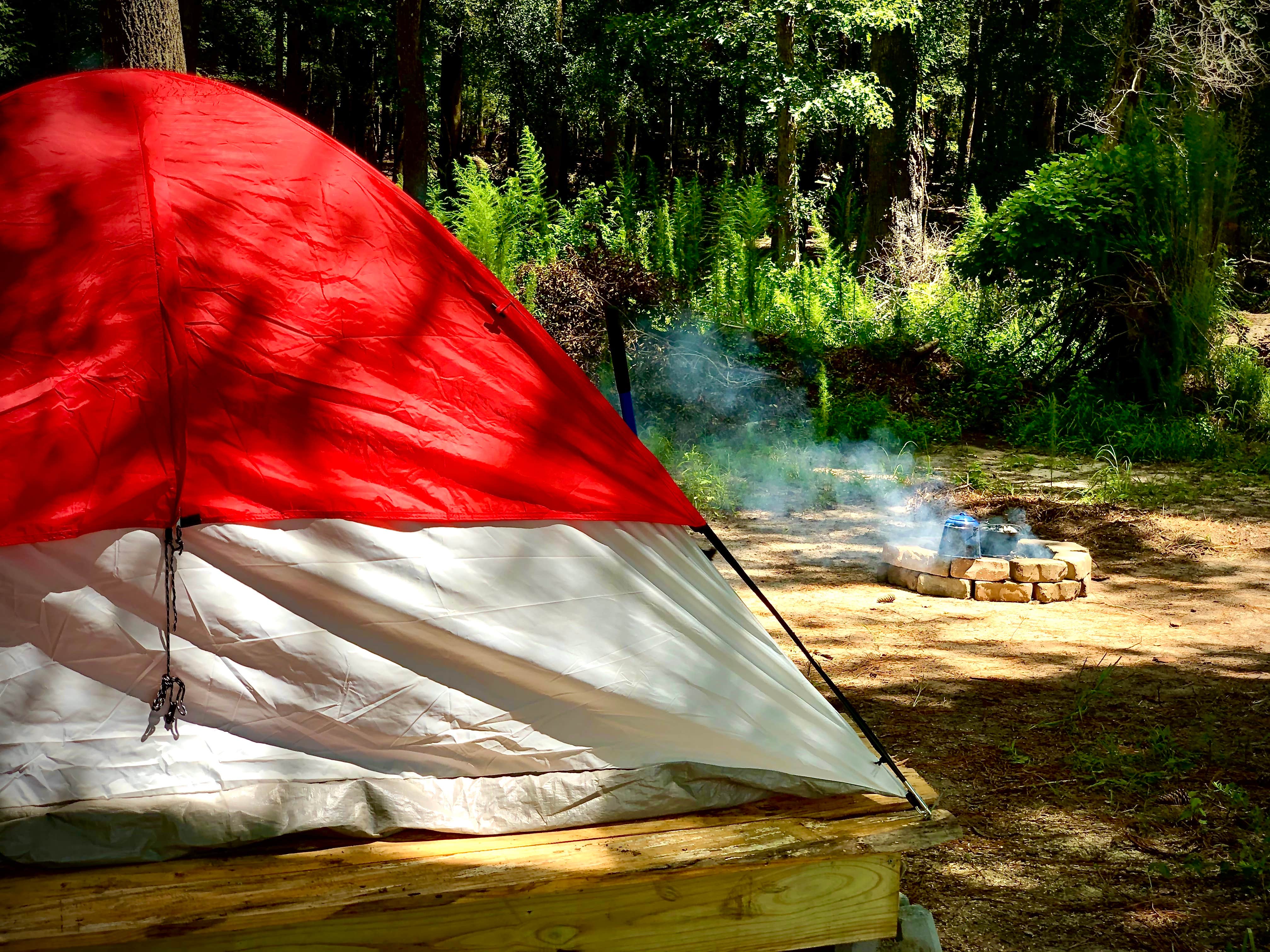 Camper-submitted photo at Cypress Ranch Glamping near Wrightsville Beach, NC