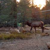Review photo of Mather Campground — Grand Canyon National Park by Dave G., April 5, 2018