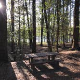 Review photo of Roosevelt State Park Campground by Lai La L., April 6, 2018