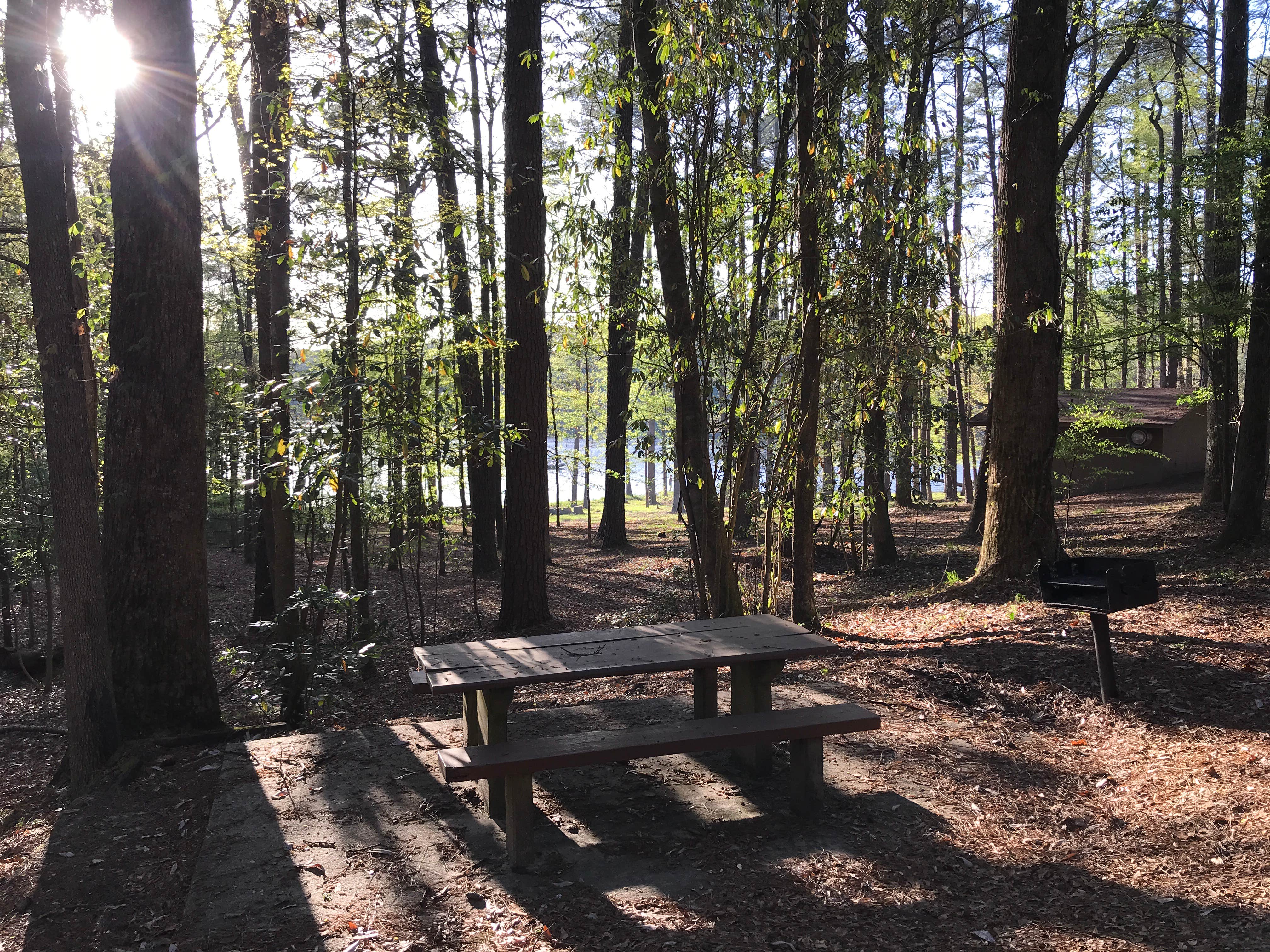 Camper submitted image from Roosevelt State Park Campground - 2