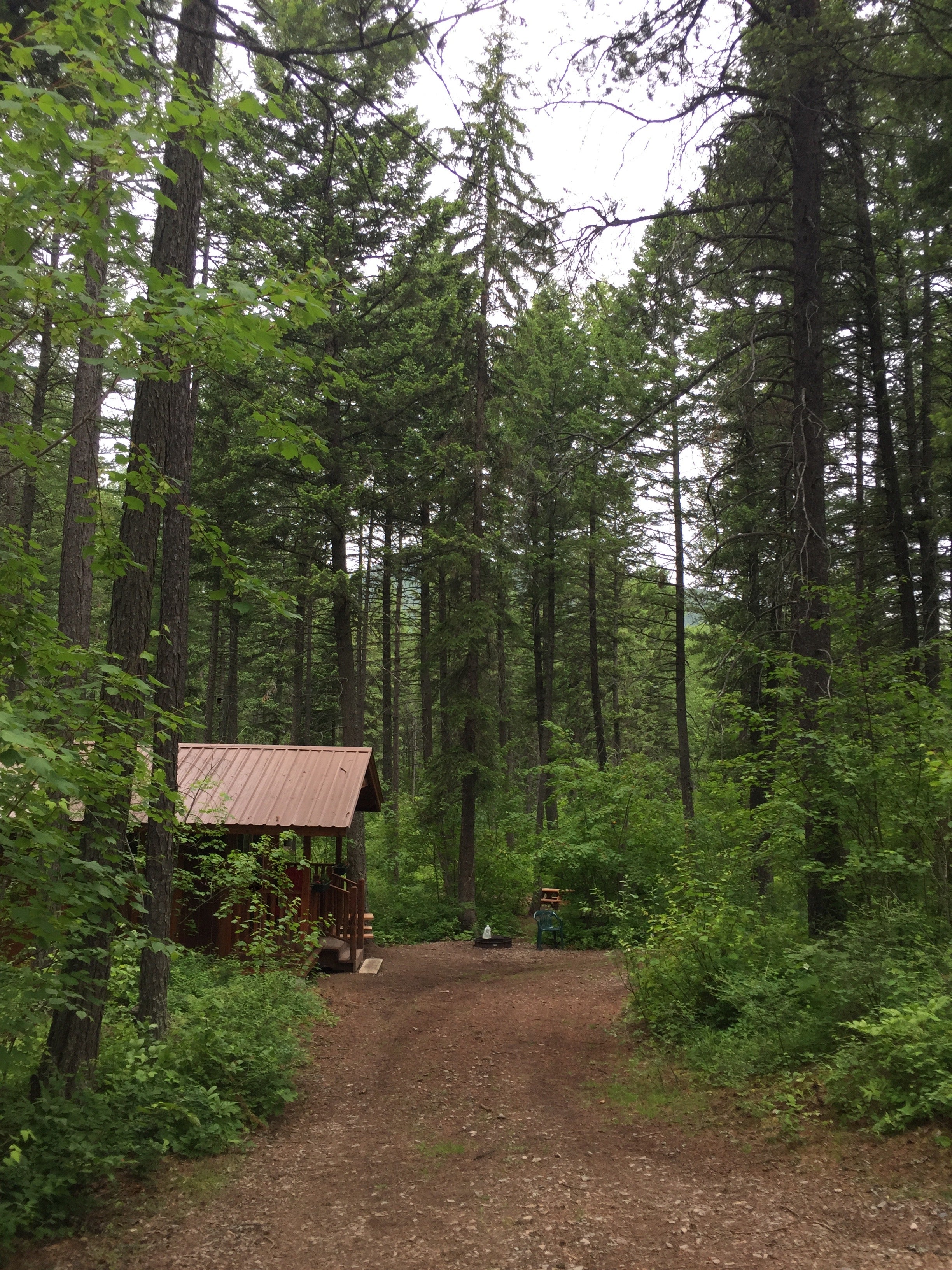 Camper submitted image from Timber Wolf Resort - 4