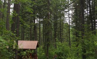 Bjorn S.'s photo of glamping accommodations at Timber Wolf Resort in Montana