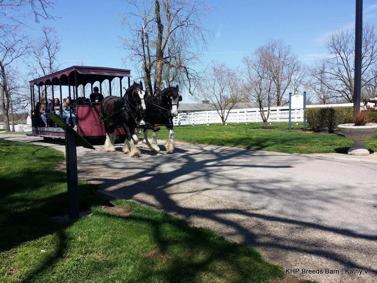 David O.'s photo of camping with a horse at Kentucky Horse Park Campground near Williamstown, KY