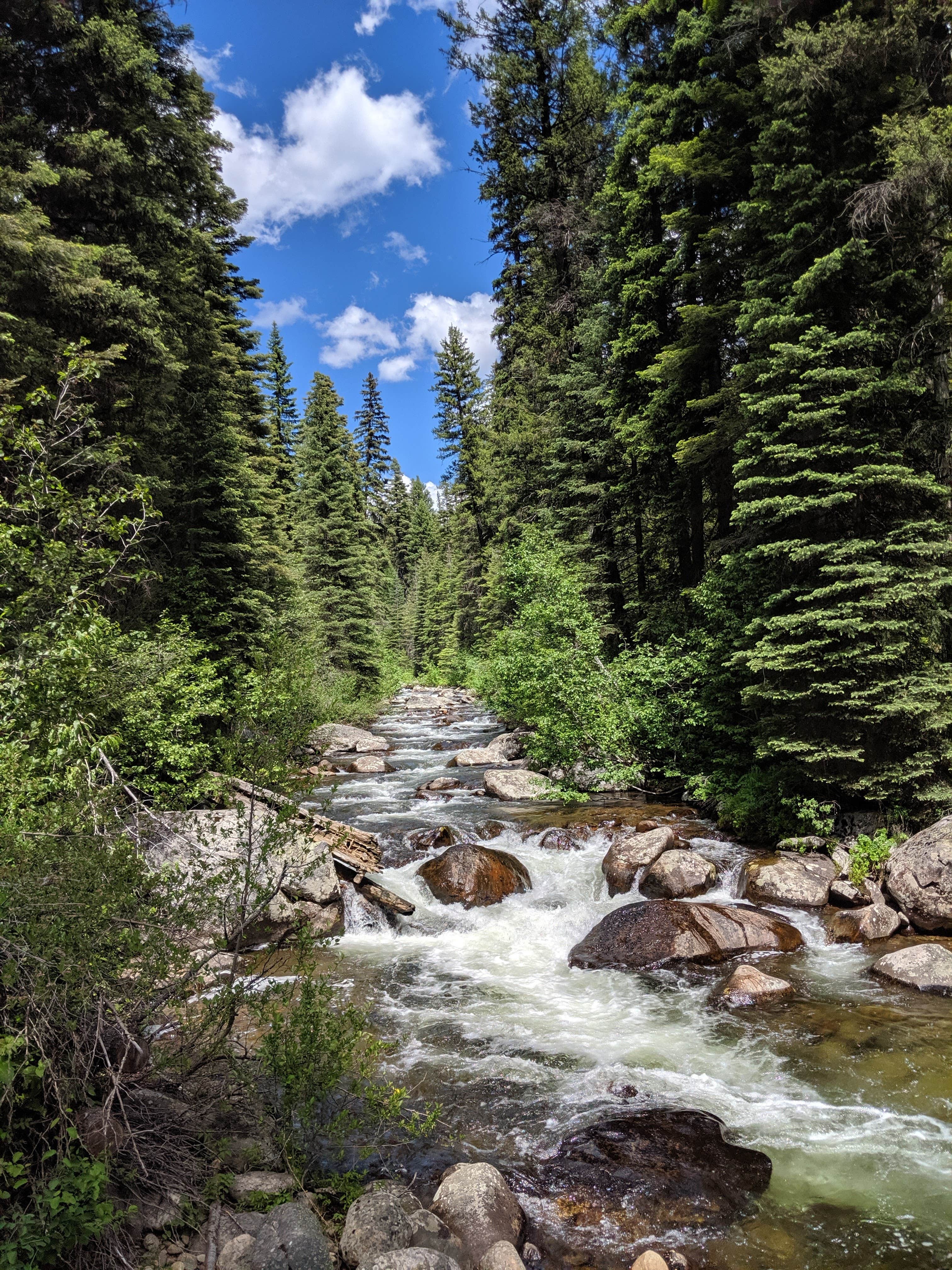 Payette National Forest - Photo 2