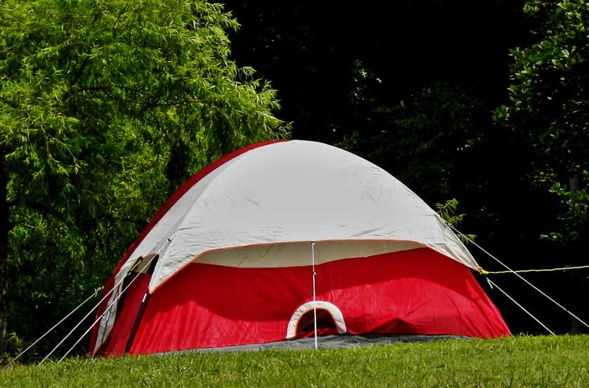 Rocky Branch Marina and Campground Camping The Dyrt