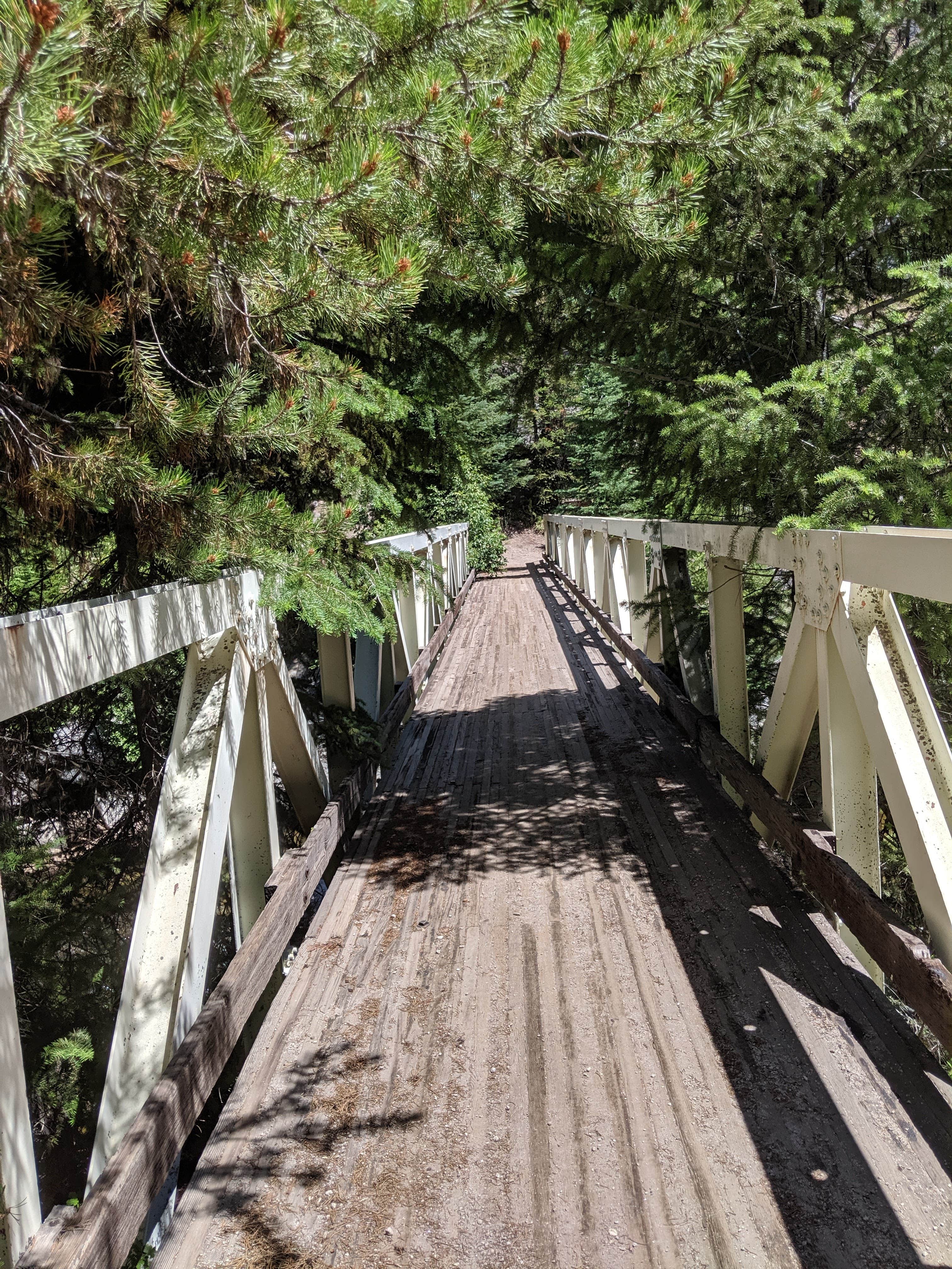 Camper-submitted photo at Loon Lake near Warren, ID