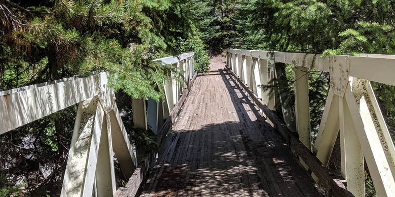 Camper submitted image from Loon Lake