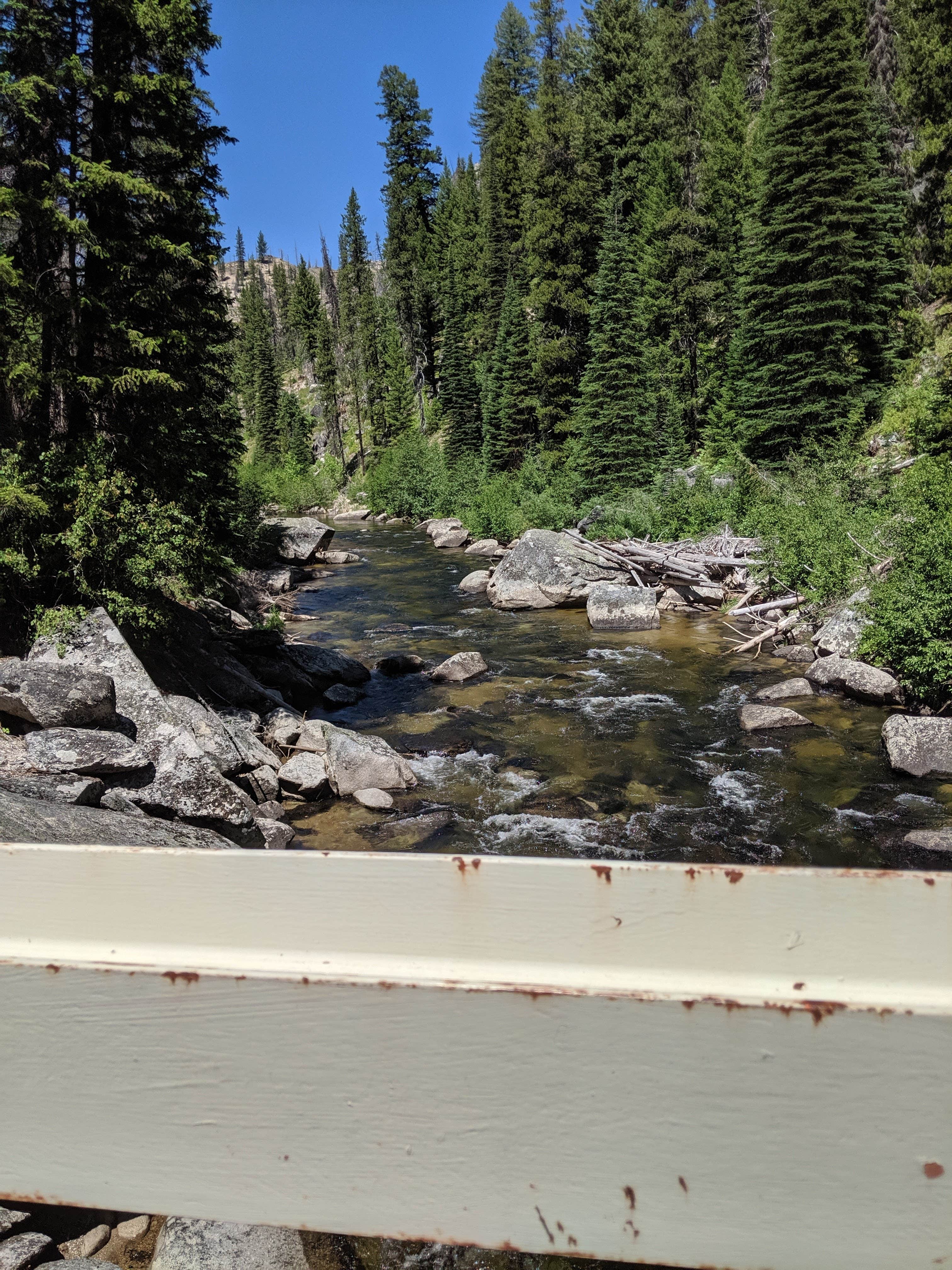 Camper-submitted photo at Loon Lake near Warren, ID