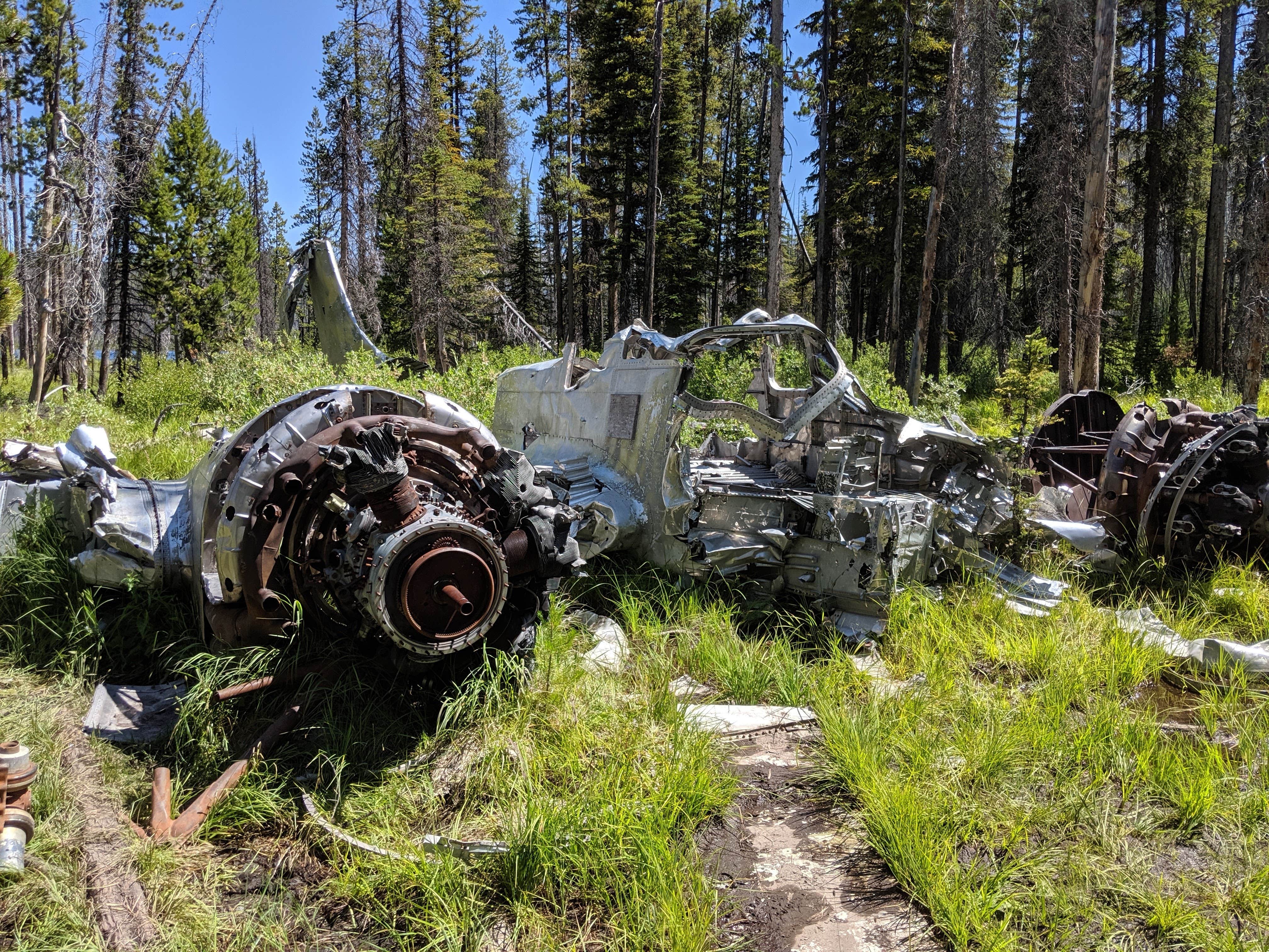 Camper-submitted photo at Loon Lake near Warren, ID