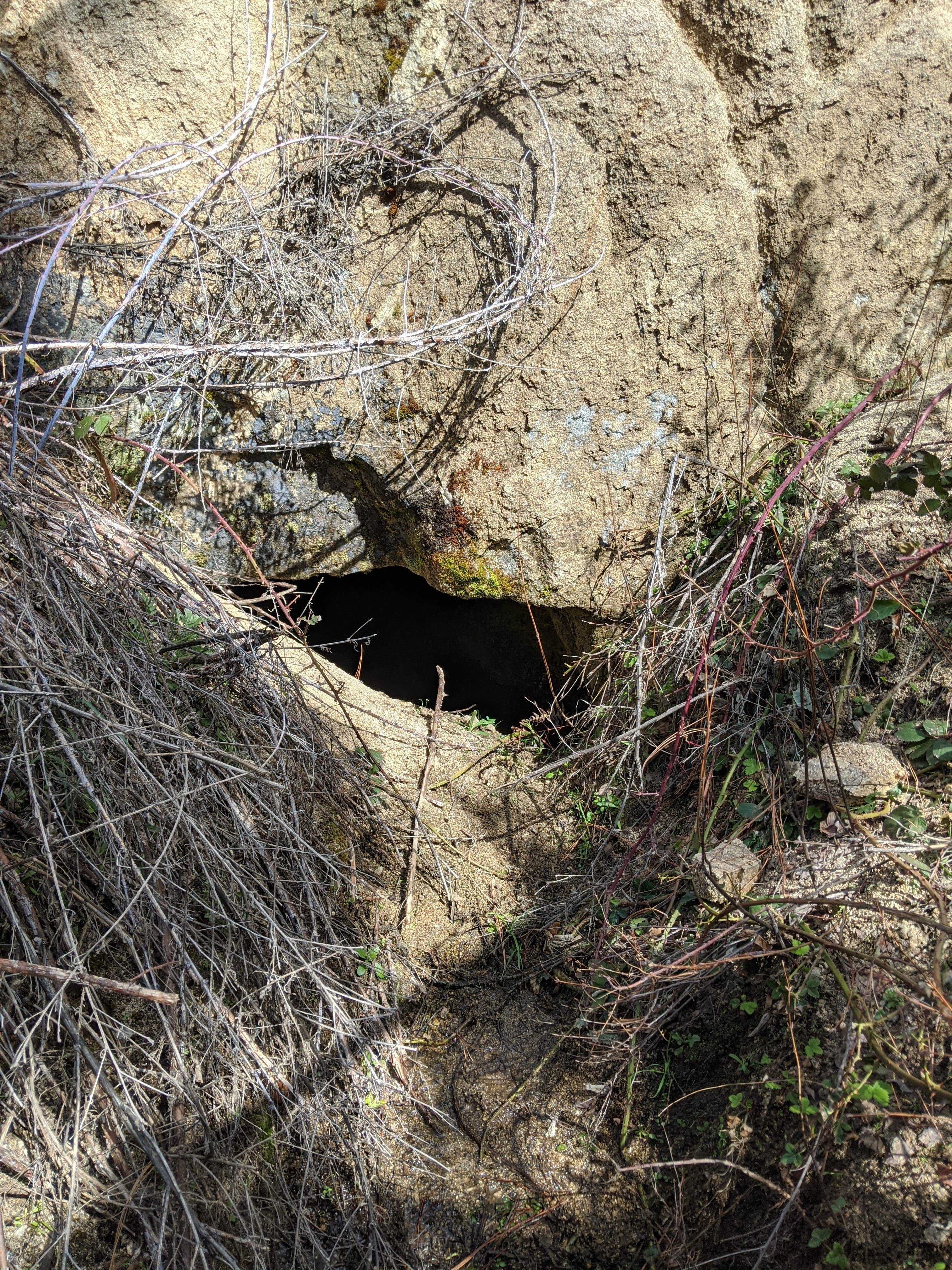 Camper-submitted photo at Wind River Bridge near Warren, ID