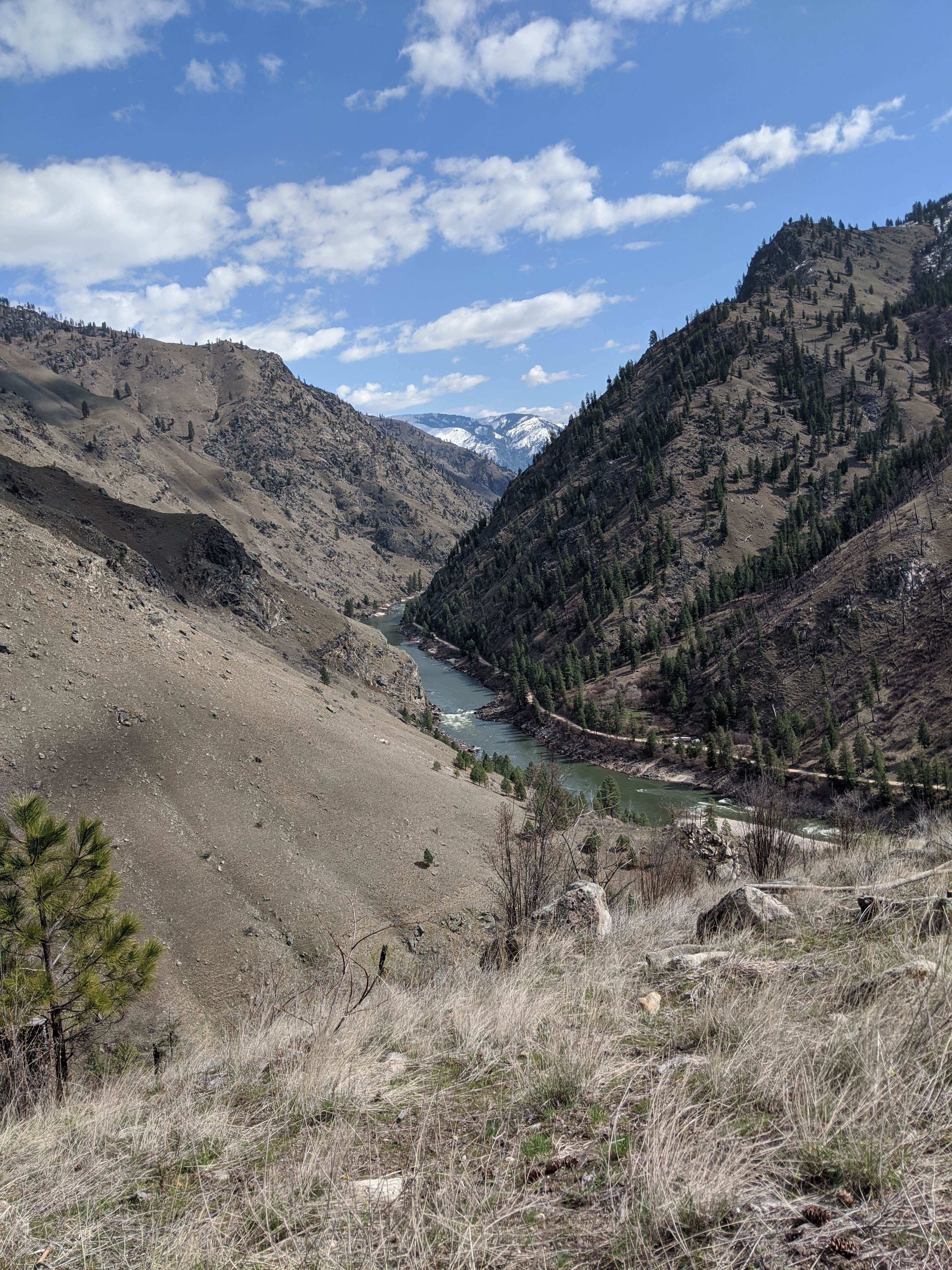 Camper submitted image from Wind River Bridge - 3