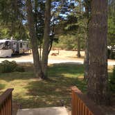 Review photo of Coquille River RV Park by Bjorn S., July 31, 2020