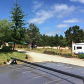 Review photo of Coquille River RV Park by Bjorn S., July 31, 2020