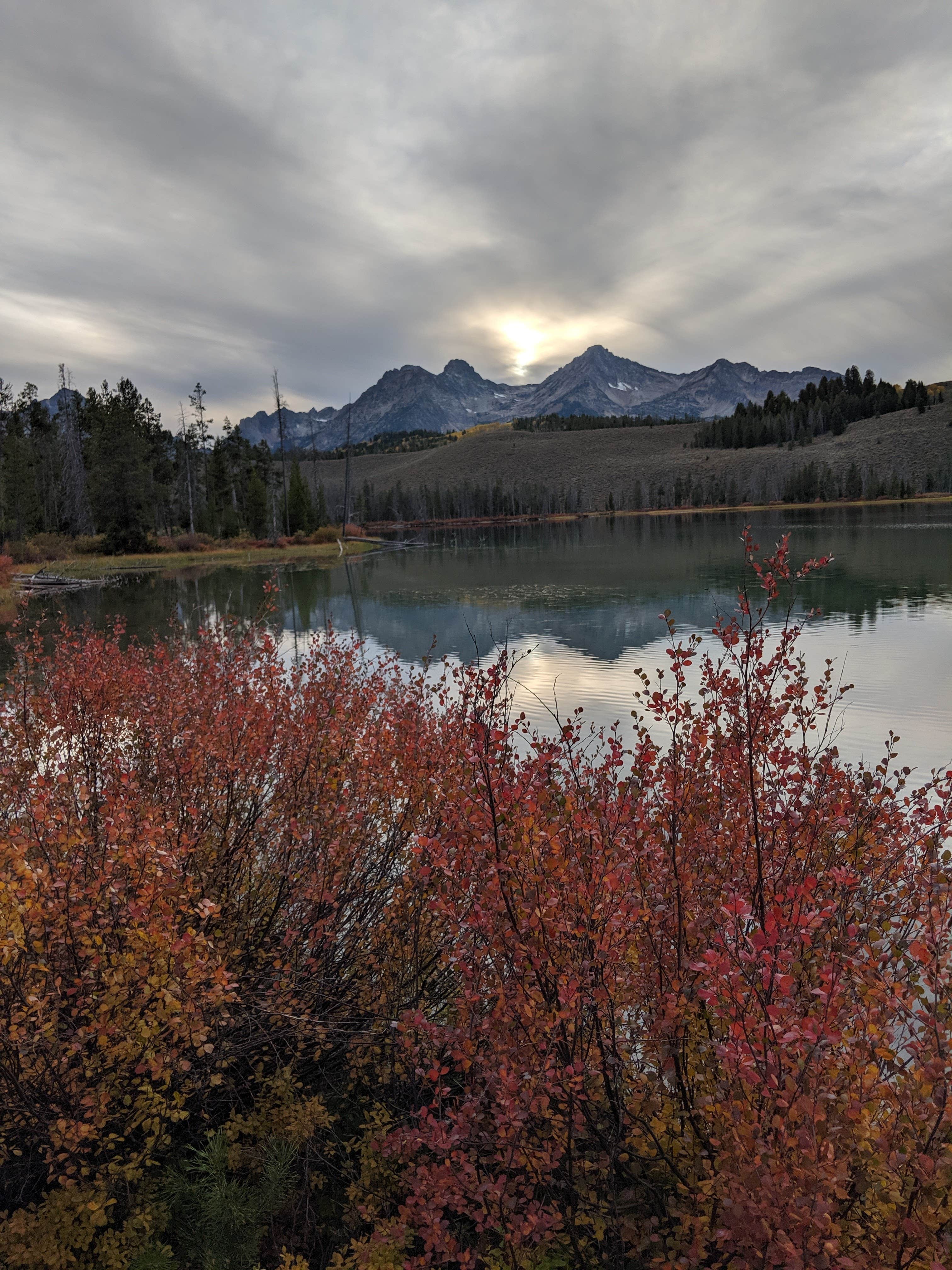 Hannah C.'s photo of a dispersed camping area at Redfish Lake Overflow Dispersed near Sawtooth National Forest