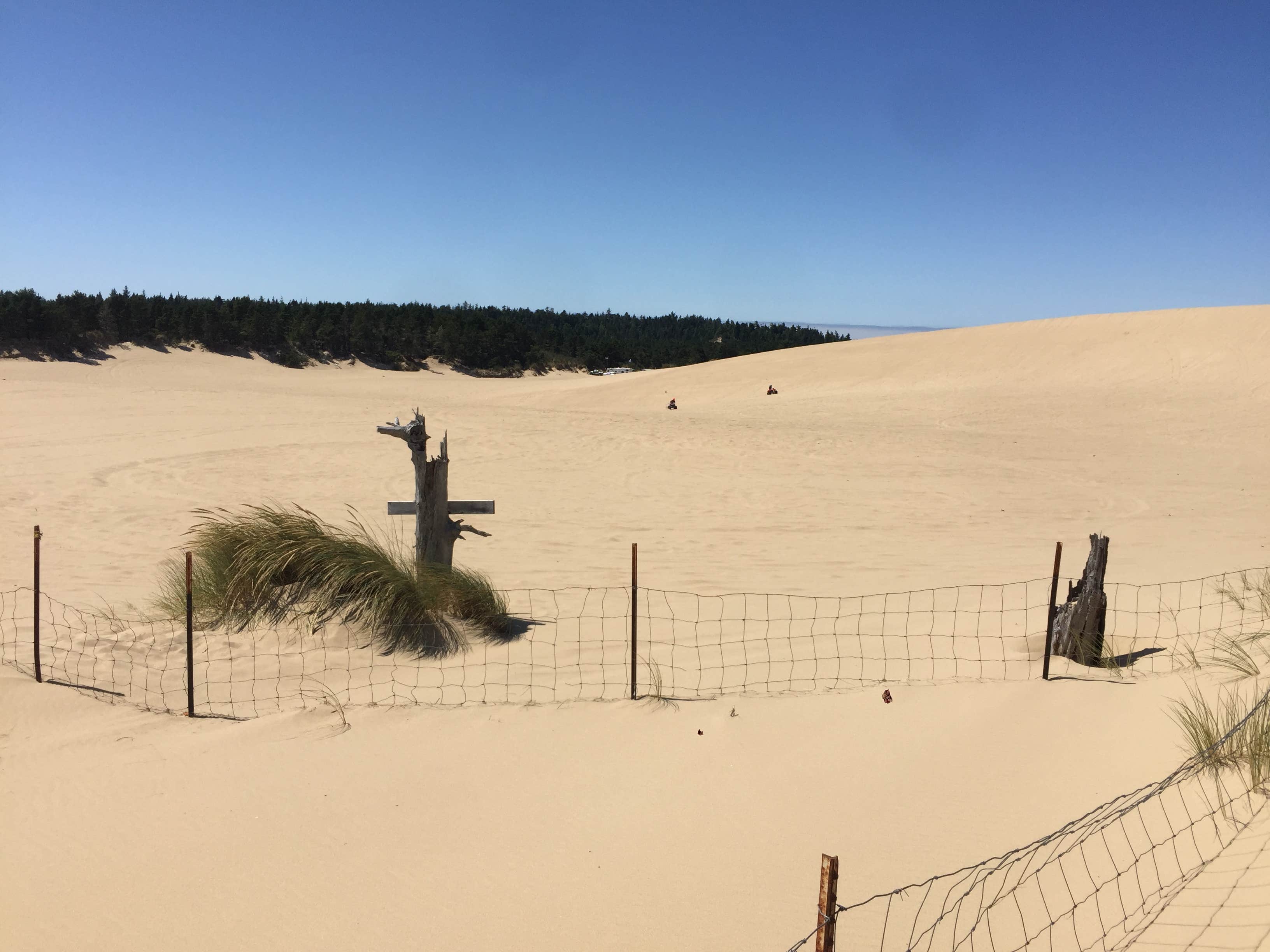 Camper-submitted photo at Boxcar Hill Campground near Coos Bay, OR