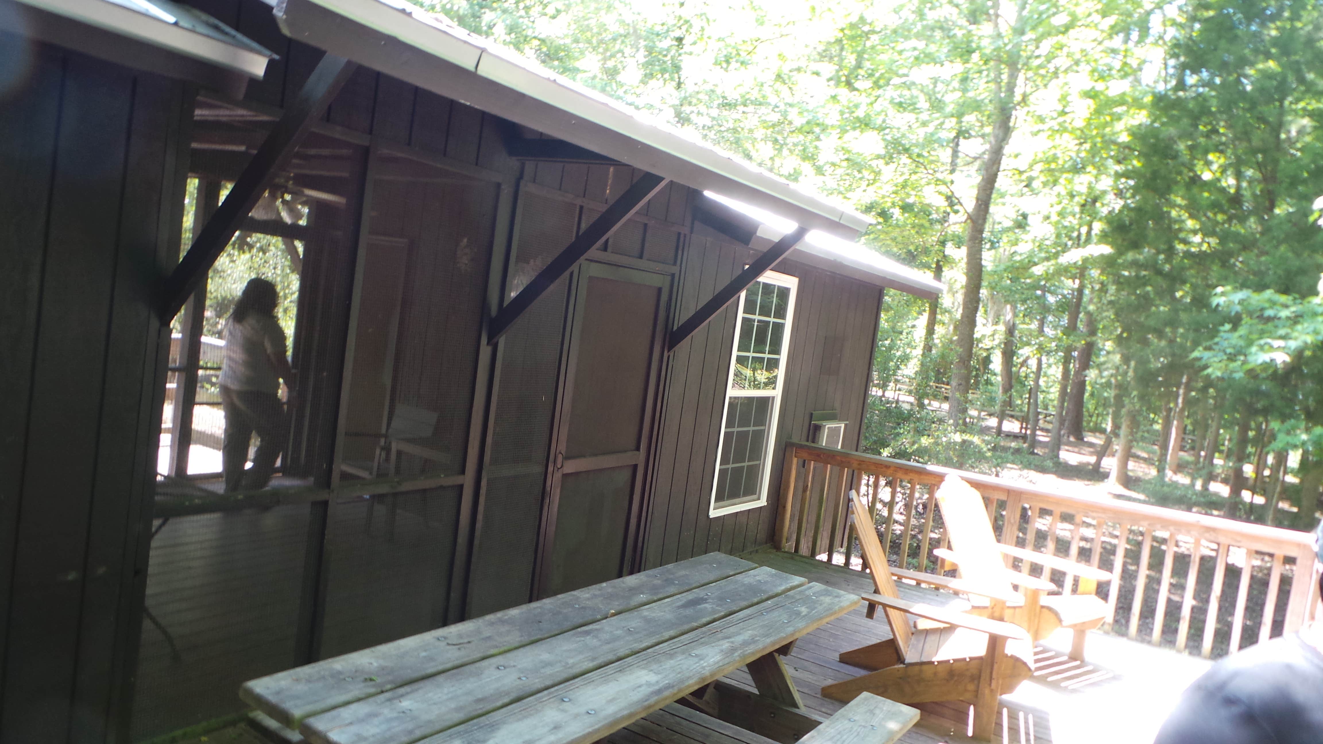 Camper submitted image from Torreya State Park Campground - 5