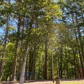 Review photo of Beavers Bend State Park Campground by Elise H., August 1, 2020
