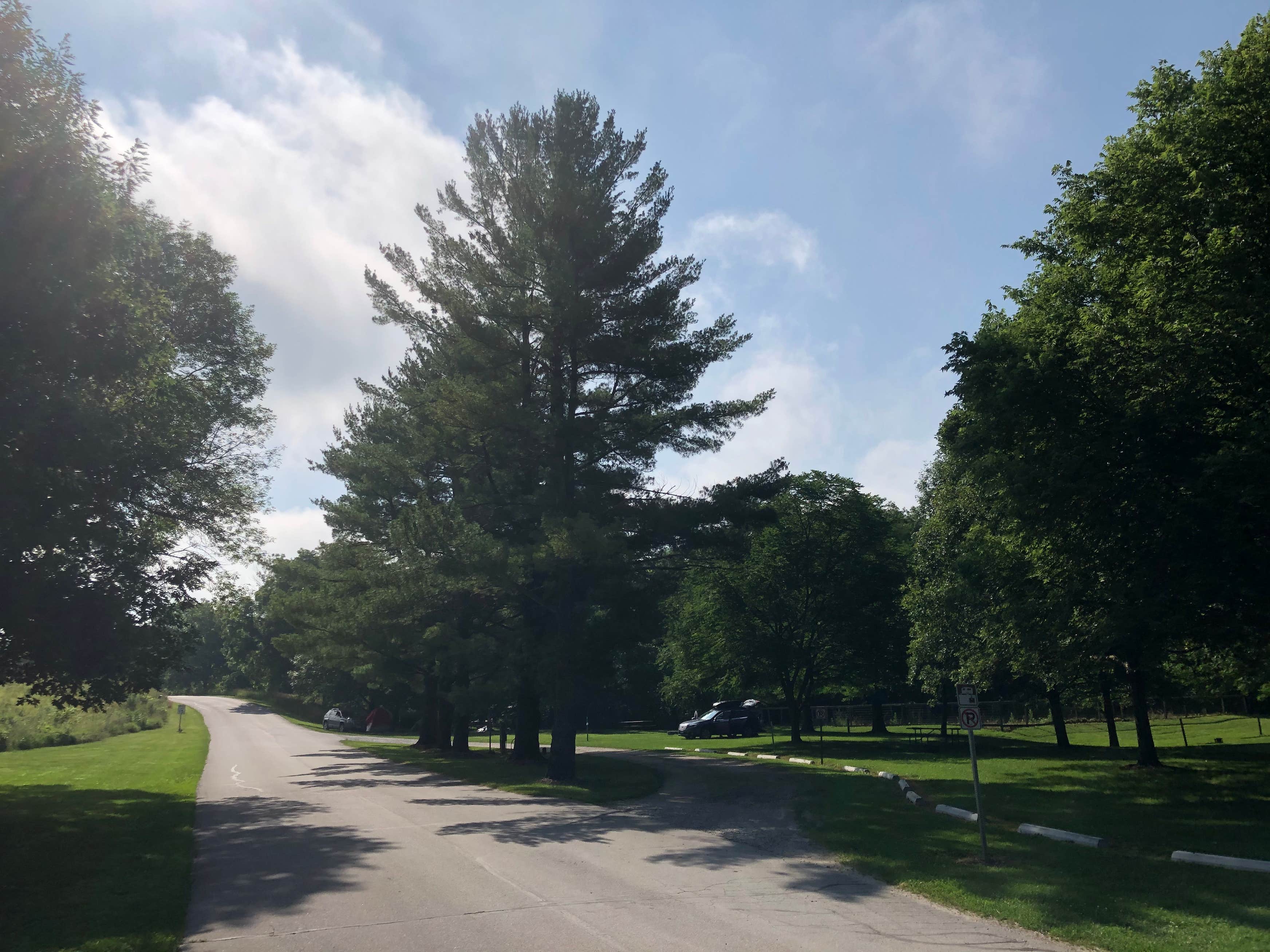 Thomas Mitchell Park (Polk County Park) The Dyrt