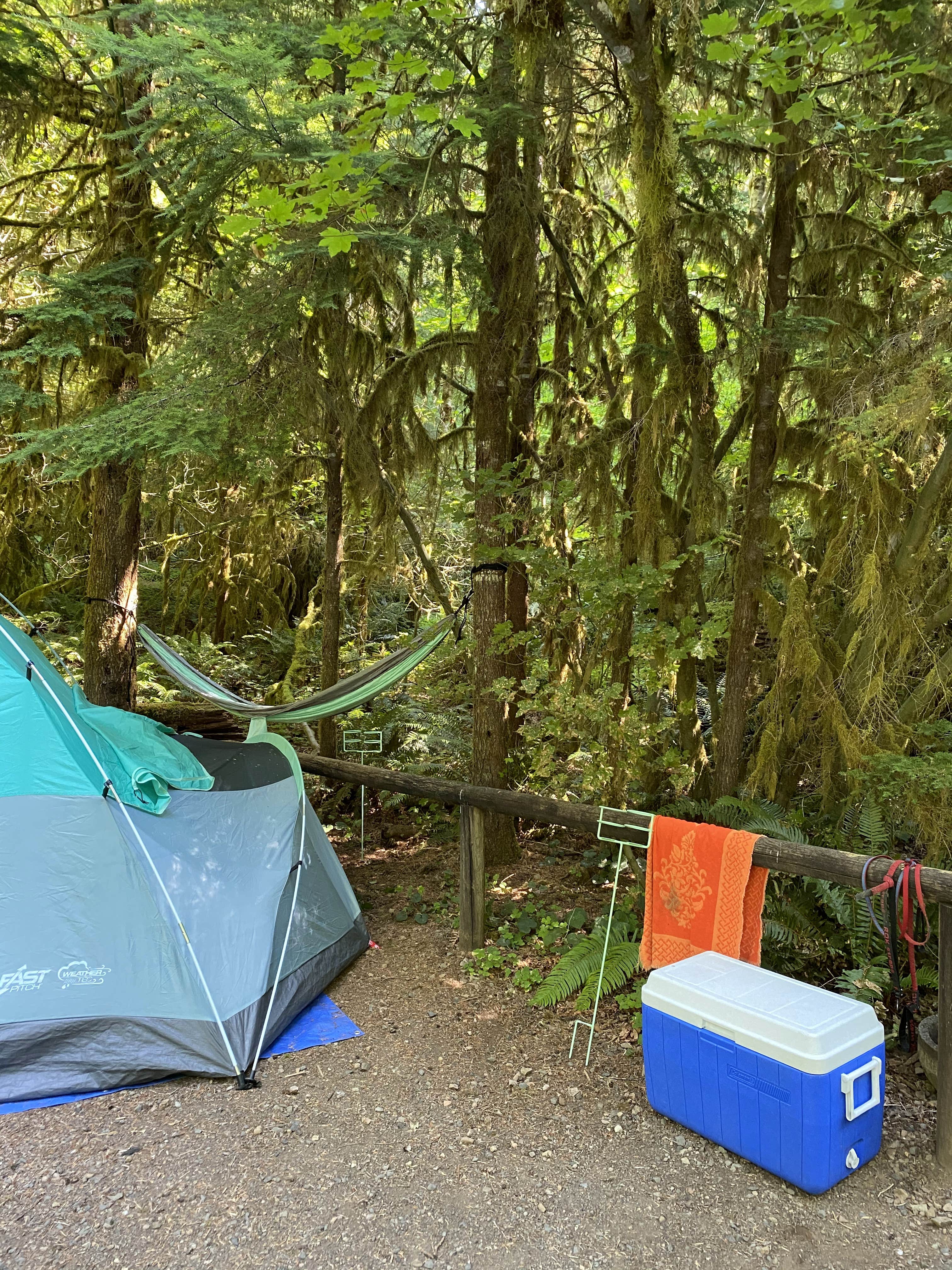 Camper submitted image from Yellowbottom Recreation Site — Quartzville Creek Wild And Scenic River - 5