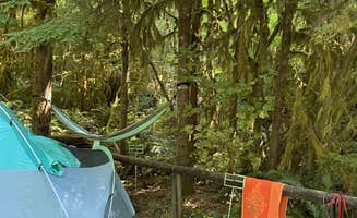 jamie P.'s photo at Yellowbottom Recreation Site — Quartzville Creek Wild And Scenic River near Lebanon, OR