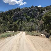 Review photo of Grey Cliffs Campground — Great Basin National Park by Thomas B., August 1, 2020