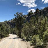 Review photo of Grey Cliffs Campground — Great Basin National Park by Thomas B., August 1, 2020