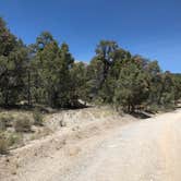 Review photo of Grey Cliffs Campground — Great Basin National Park by Thomas B., August 1, 2020