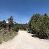 Review photo of Grey Cliffs Campground — Great Basin National Park by Thomas B., August 1, 2020