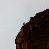 Review photo of Zion Canyon Campground by Jess G., April 6, 2018