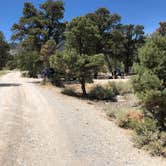 Review photo of Grey Cliffs Campground — Great Basin National Park by Thomas B., August 1, 2020